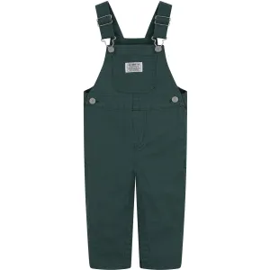 Levi's GREEN Carpenter Overalls