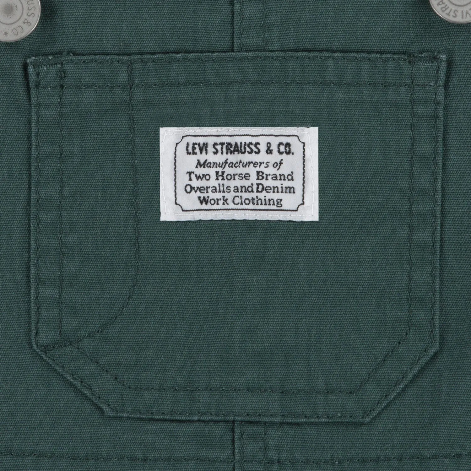 Levi's GREEN Carpenter Overalls