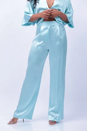 The Sei Wide Leg Pants in Baby Blue